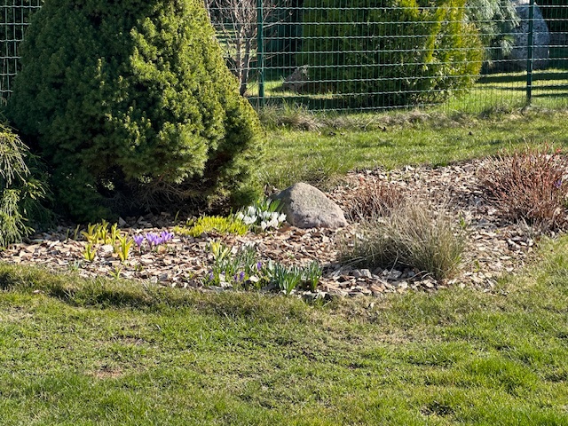 Multš ei ole lihtsalt pinnakattematerjal – see on oluline osa hästi toimivast ja visuaalselt kaunist haljastusest. Õigest toorainest ja õigesti toodetud multš a