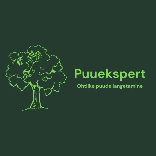 Puuekspert